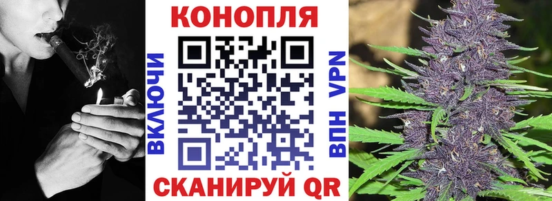 Купить закладки  Еманжелинск  Конопля AK-47 